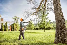 Best Tree Risk Assessment  in Broxton, GA