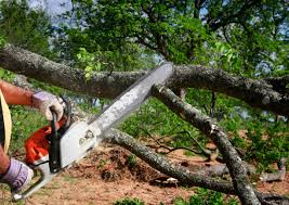 Best Leaf Removal  in Broxton, GA