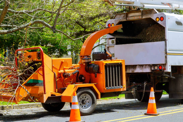 Best Tree Health Inspection  in Broxton, GA